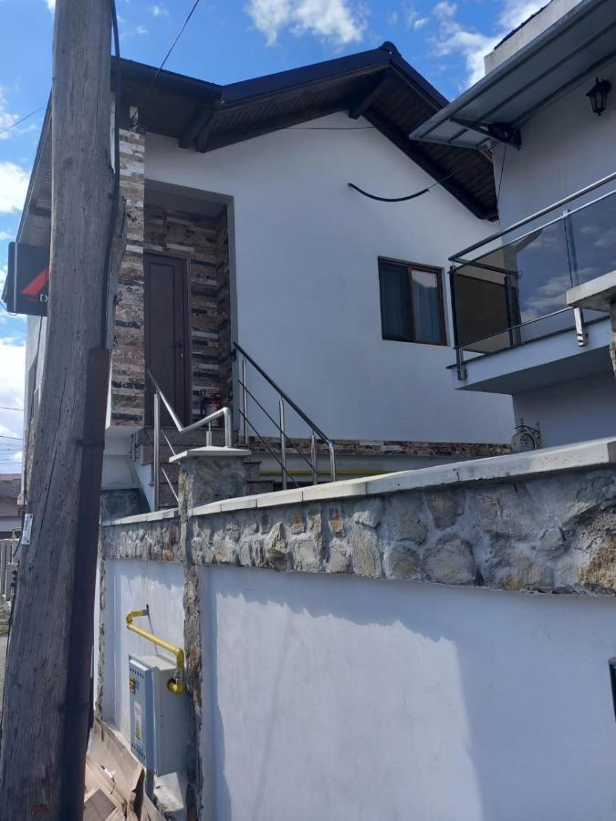 Casa Davison Târgu Jiu Exterior foto
