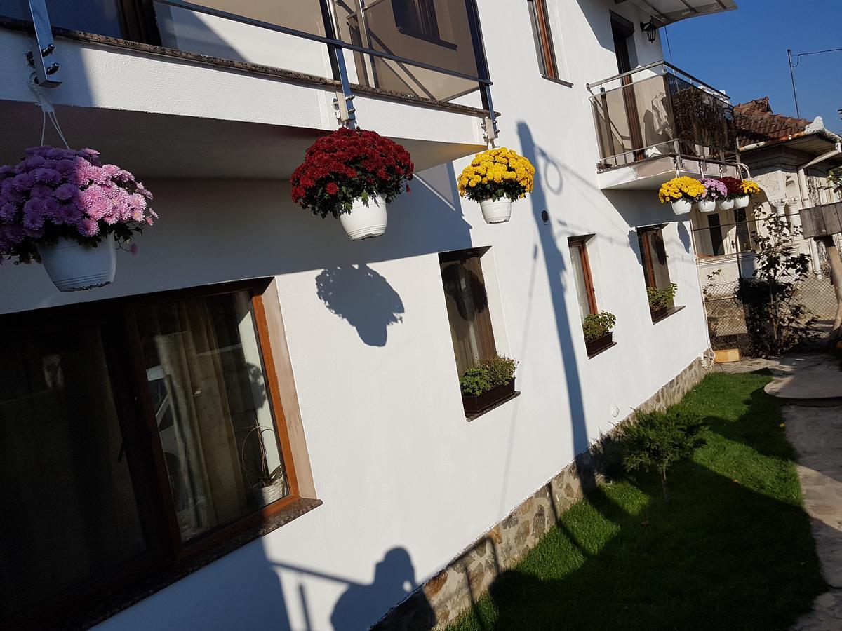 Casa Davison Târgu Jiu Exterior foto